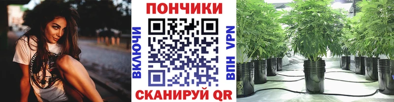 Купить  Западная Двина  Шишки марихуана семена 